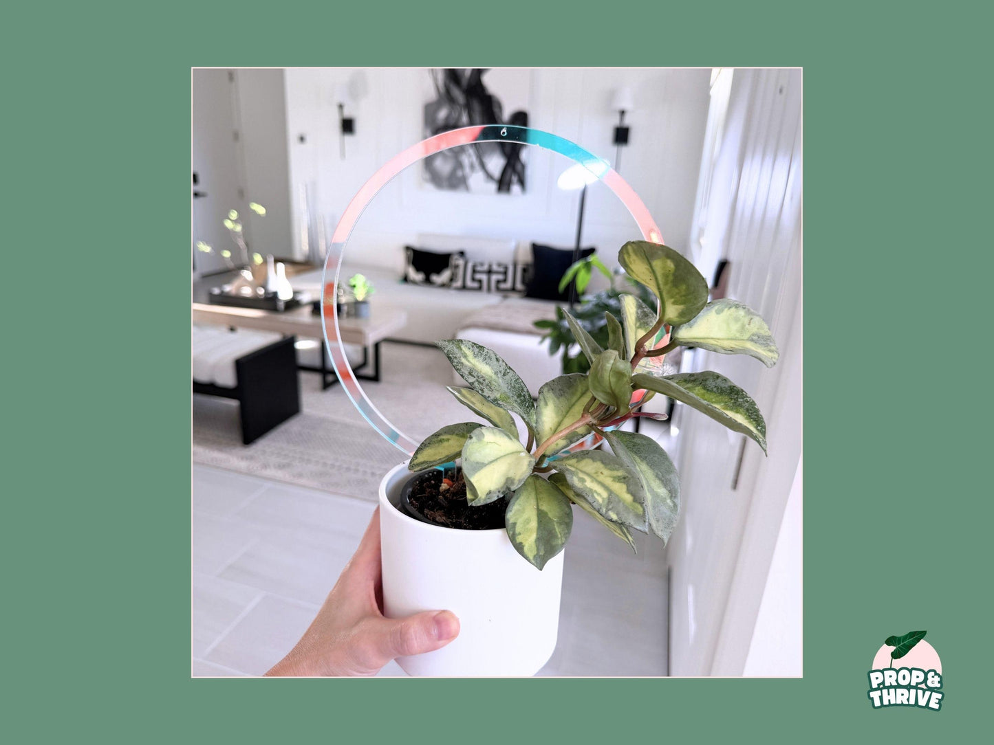 Iridescent Acrylic Round Trellis