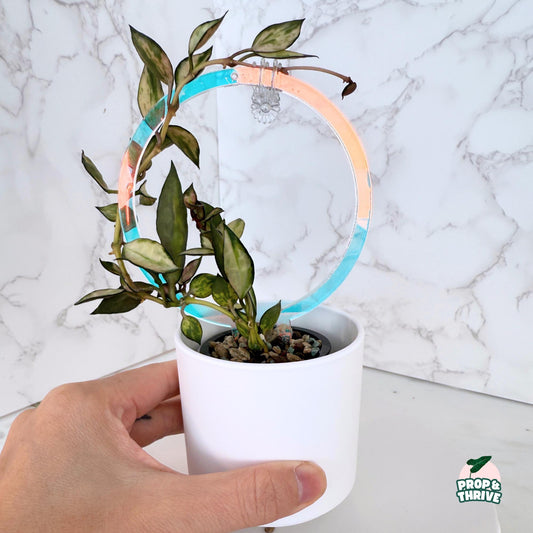 Iridescent Acrylic Round Trellis