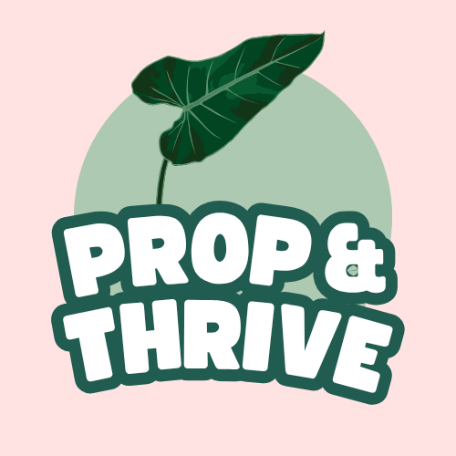 Prop and Thrive