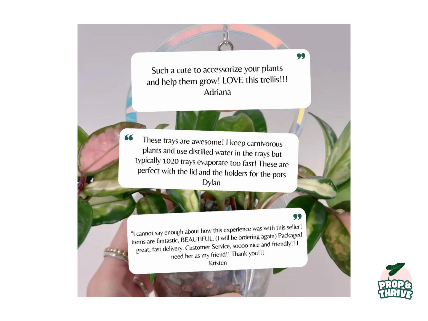 “Here For Plants, Not a Warranty” Embroidered Dad Hat