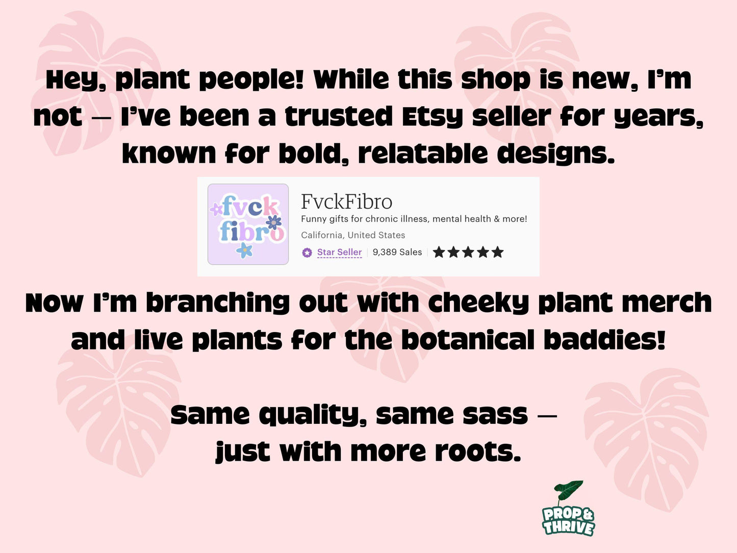 Aesthetic 2" Clear Square Nursery Pots Frosted Small Planters Tray Easy Watering Hoyas Mini Pot for Begonia Plastic Trendy Container 3 inch