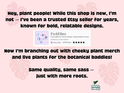 Aesthetic 2" Clear Square Nursery Pots Frosted Small Planters Tray Easy Watering Hoyas Mini Pot for Begonia Plastic Trendy Container 3 inch