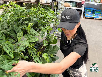 "Just One More Plant" Embroidered Dad Hat