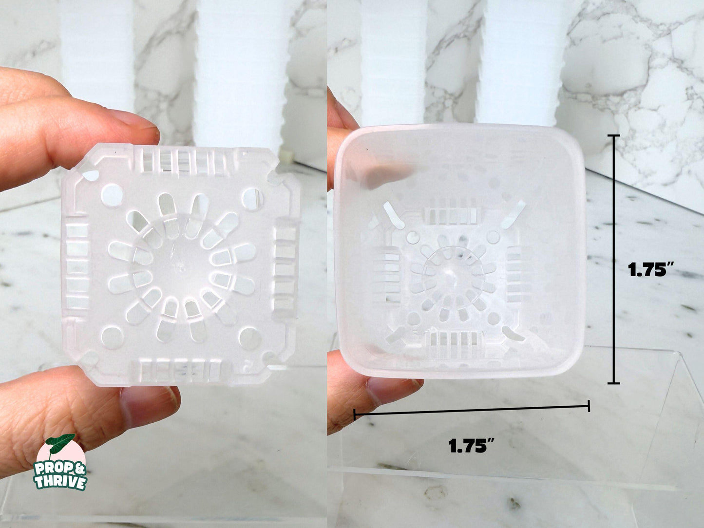 Aesthetic 2" Clear Square Nursery Pots Frosted Small Planters Tray Easy Watering Hoyas Mini Pot for Begonia Plastic Trendy Container 3 inch