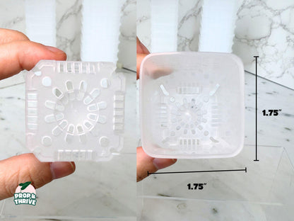 Aesthetic 2" Clear Square Nursery Pots Frosted Small Planters Tray Easy Watering Hoyas Mini Pot for Begonia Plastic Trendy Container 3 inch