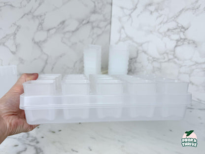 Aesthetic 2" Clear Square Nursery Pots Frosted Small Planters Tray Easy Watering Hoyas Mini Pot for Begonia Plastic Trendy Container 3 inch