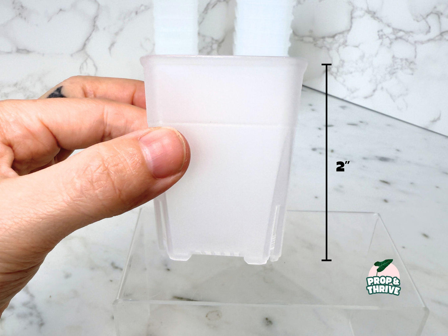 Aesthetic 2" Clear Square Nursery Pots Frosted Small Planters Tray Easy Watering Hoyas Mini Pot for Begonia Plastic Trendy Container 3 inch