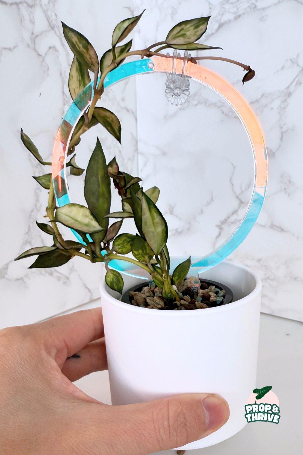 Iridescent Acrylic Round Trellis