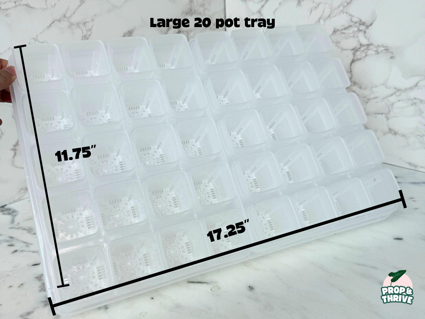 Aesthetic 2" Clear Square Nursery Pots Frosted Small Planters Tray Easy Watering Hoyas Mini Pot for Begonia Plastic Trendy Container 3 inch