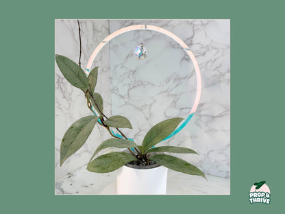 Iridescent Acrylic Round Trellis
