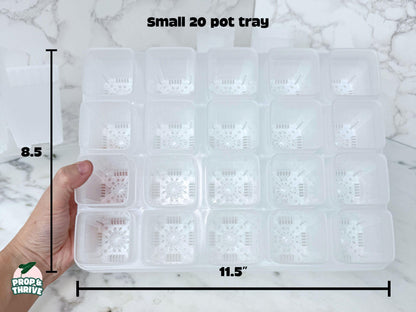 Aesthetic 2" Clear Square Nursery Pots Frosted Small Planters Tray Easy Watering Hoyas Mini Pot for Begonia Plastic Trendy Container 3 inch