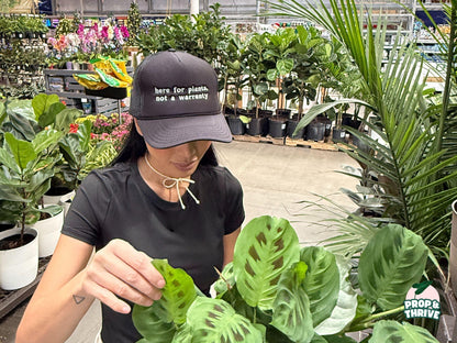 “Here For Plants, Not a Warranty” Embroidered Dad Hat